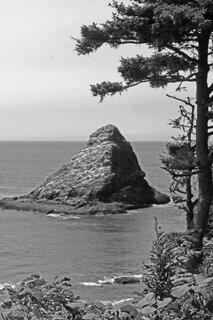 Devil’s Elbow State Park on Oregon’s rugged coastline, featuring rocky shores, forested cliffs, crashing Pacific waves, and dramatic coastal scenery.