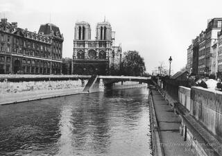 The Notre Dame Cathedral in Paris, France, is a large Gothic church with two towers and intricate carvings in stone that look out over the Île de la Cité.