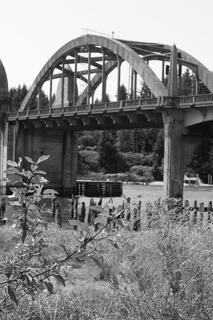Historic Siuslaw River Bridge in Florence, Oregon, spanning the river with graceful arches, Art Deco details, forested hills, and coastal scenery.