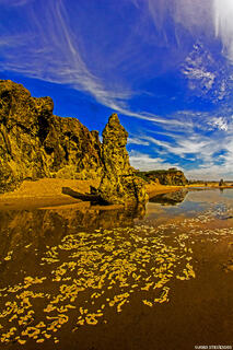 Bandon Beach Floating Bulbs Oregon Coast