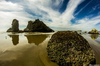 Bandon Beach on the Oregon Coast, with expansive sandy shoreline, rugged sea stacks, and waves rolling in from the Pacific Ocean