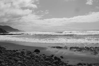 Cape Cove Beach on the Oregon Coast, with waves crashing against rugged rocks, driftwood scattered across the shoreline