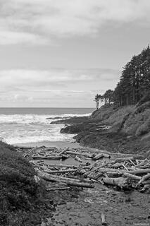 Cove Beach on the Oregon Coast, with rugged coastal rocks, sandy shore, and waves rolling in from the Pacific Ocean.