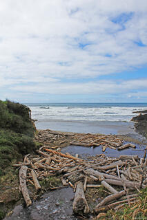 Cove Beach along the Oregon Coast, with rugged cliffs, rocky shoreline, and ocean waves stretching into the distance.