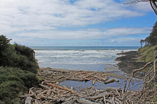 Cove Beach along the Oregon Coast, featuring a scenic shoreline, rugged rock formations, and gentle Pacific Ocean waves.