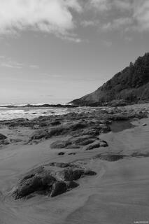 Cove Beach beneath the forested cliffs of Cape Perpetua along the Oregon Coast.
