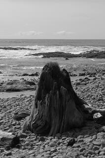 Cove Beach beneath the forested cliffs of Cape Perpetua on Oregon’s central coast, with waves breaking along the rocky shoreline.