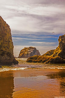 Face Rock-Bandon Beach Oregon Coast