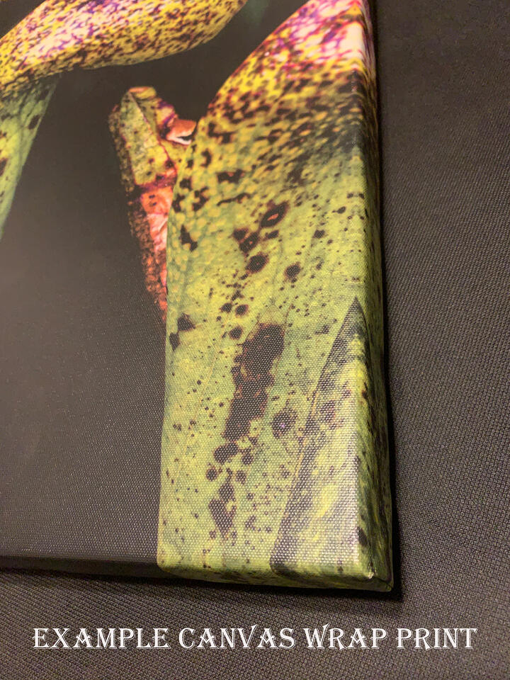 Canvas Wrap Prints