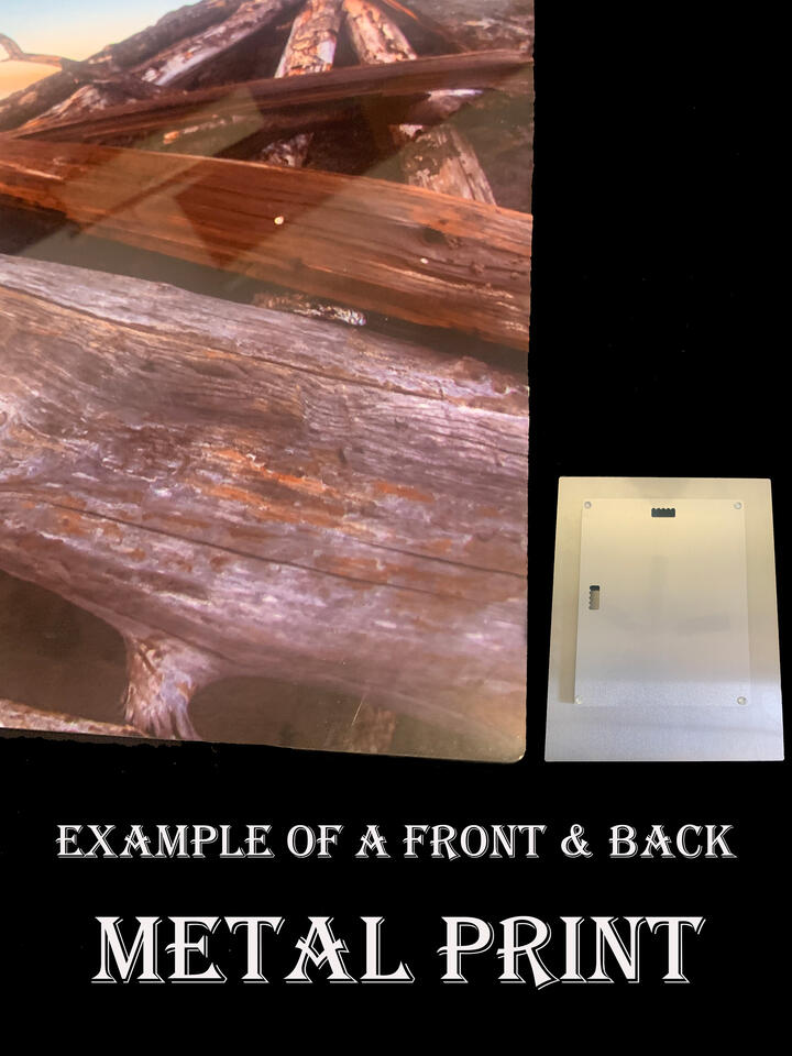 Metal Prints